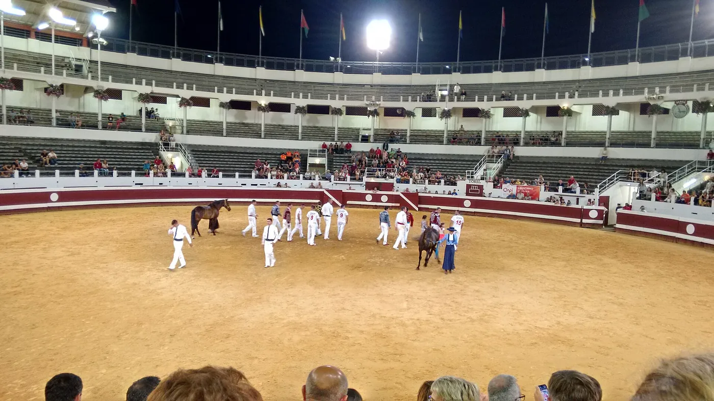 Arènes de Dax